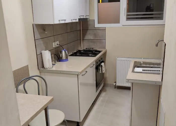 Garsoniera Astra Apartment